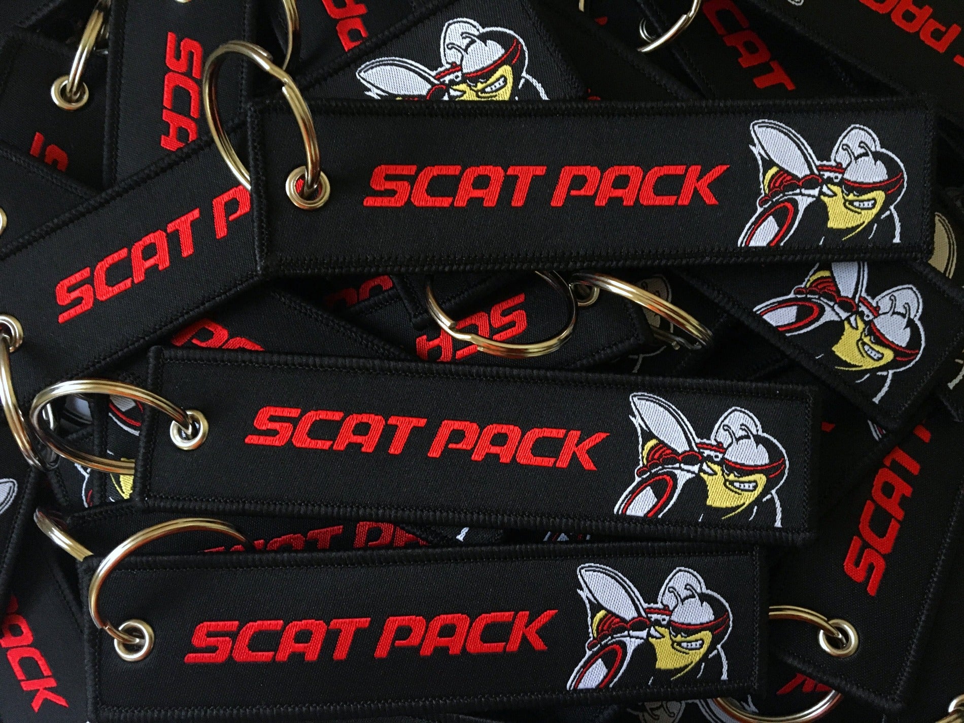 Keychain that fits on a key fob cover For Charger, key ring gift idea for car guys, car enthusiasts, gearheads, petrolhead, gearhead, and more. Gifts for boyfriend, girlfriend, mother, father, brother, sister, him, her, mom, dad and much more. Scat pack jet tag double sided. 392 and 345 hemi or SRT, and R/T.