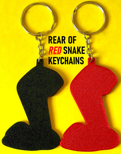 Keychain For GT500 & GT350